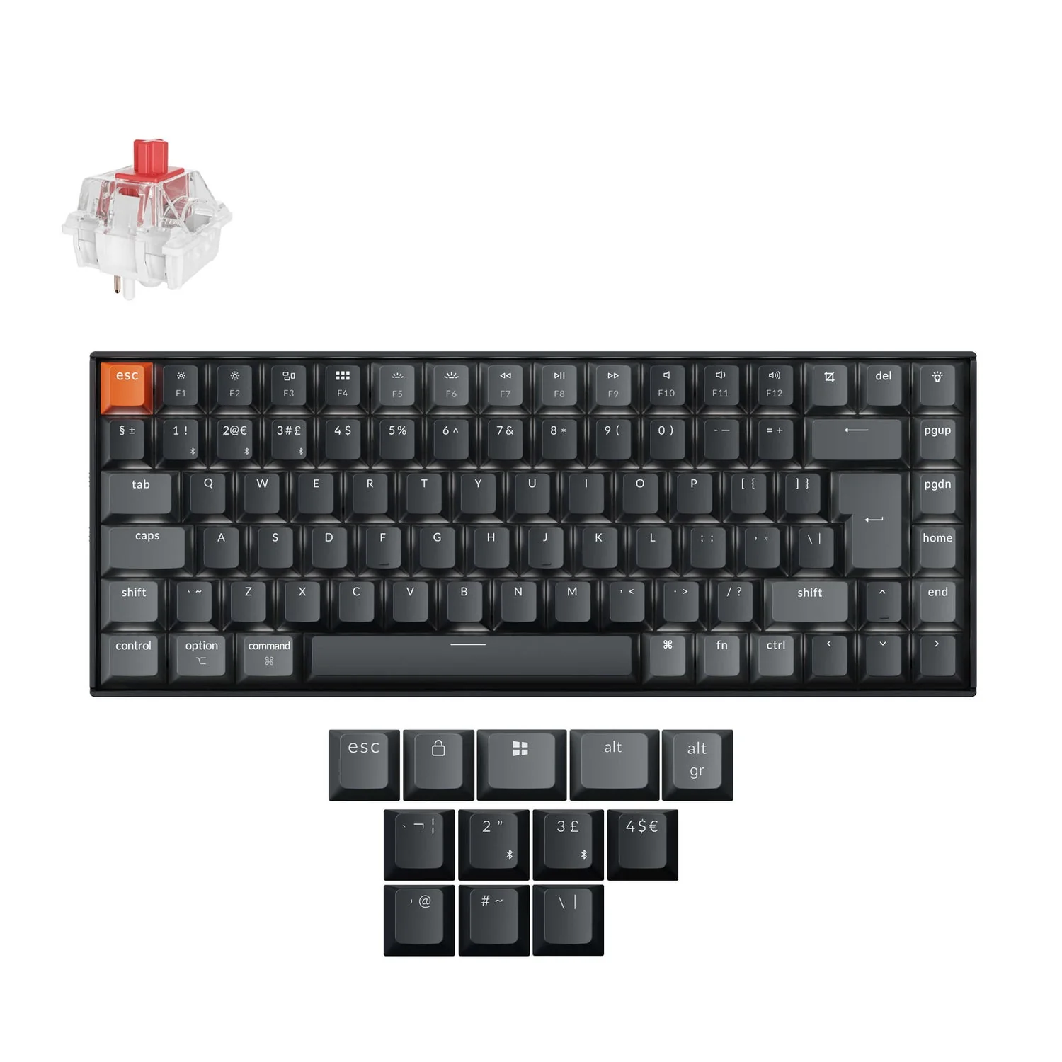 Product image 24